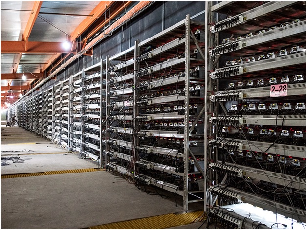How the popularity of Bitcoin Hosting increase