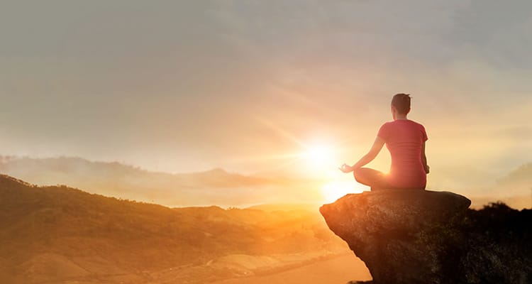 Adult-Focused Supplements to Promote Calm and Reduce Anxiety